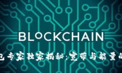 TP钱包专家独家揭秘：宽带