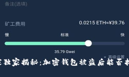 专家独家揭秘：加密钱包被盗后能否找回？