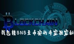 TP钱包转BNB至币安的专家独