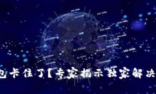 TP钱包卡住了？专家揭示独家解决秘诀！