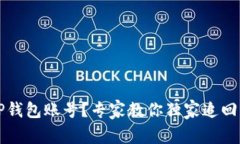 忘记TP钱包账号？专家教你