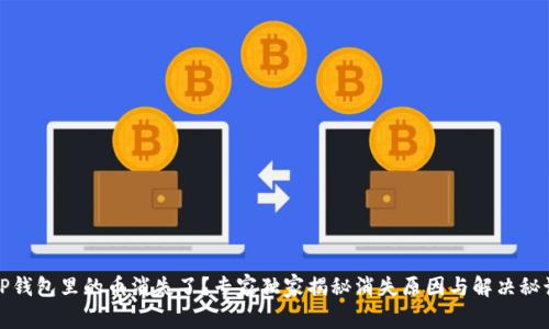 TP钱包里的币消失了？专家独家揭秘消失原因与解决秘诀