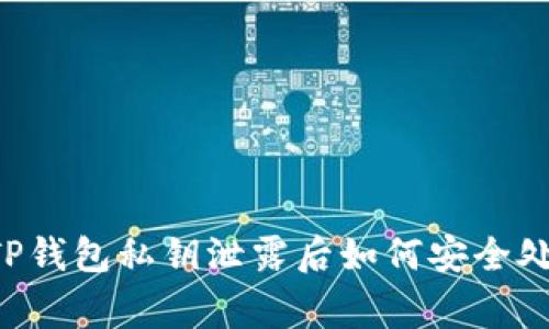 ### 专家解答：TP钱包私钥泄露后如何安全处理，独家秘诀分享！