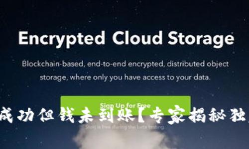 TP钱包转账成功但钱未到账？专家揭秘独家解决秘诀！