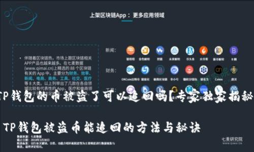 TP钱包的币被盗了可以追回吗？专家独家揭秘！

 TP钱包被盗币能追回的方法与秘诀