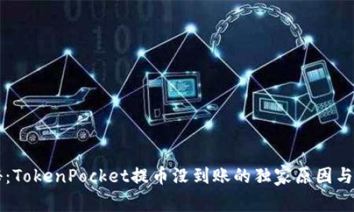 专家揭秘：TokenPocket提币没到账的独家原因与解决秘诀