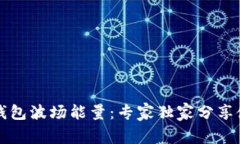 揭秘TP钱包波场能量：专家