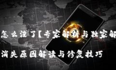 TP钱包怎么没了？专家解析