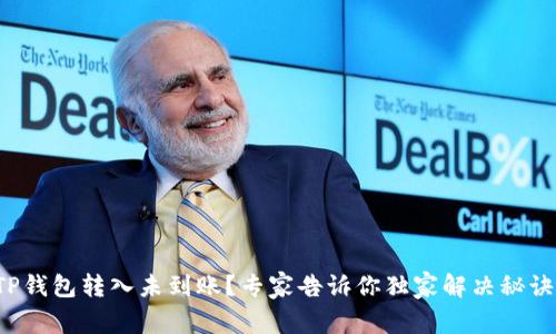 TP钱包转入未到账？专家告诉你独家解决秘诀！