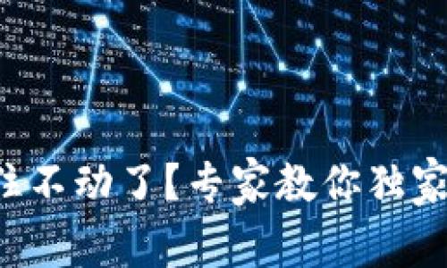 TP钱包卡住不动了？专家教你独家排解秘诀！