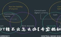 TP钱包USDT转不出怎么办？
