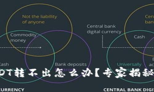 TP钱包USDT转不出怎么办？专家揭秘独家秘诀！
