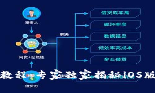 TP钱包使用教程：专家独家揭秘iOS版的隐藏秘诀