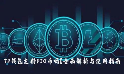 TP钱包支持PIG币吗？全面解析与使用指南