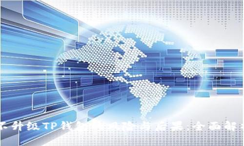 不升级TP钱包的风险与后果：全面解析