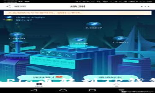 如何将抹茶Pig币转到TP钱包：完整指南