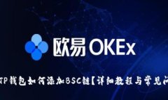 电脑版TP钱包如何添加BS