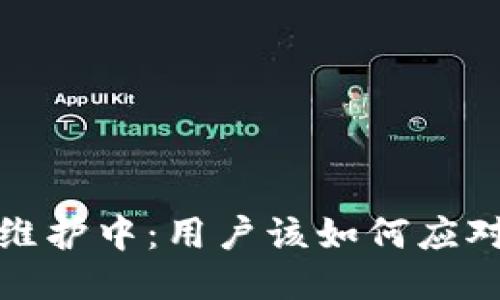 TP钱包维护中：用户该如何应对与处理