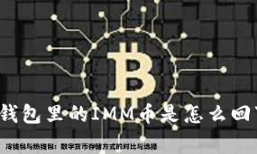 TP钱包里的IMM币是怎么回事？