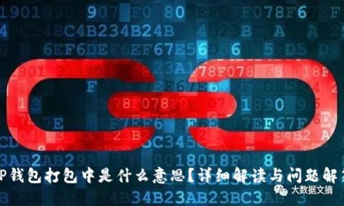 TP钱包打包中是什么意思？详细解读与问题解答